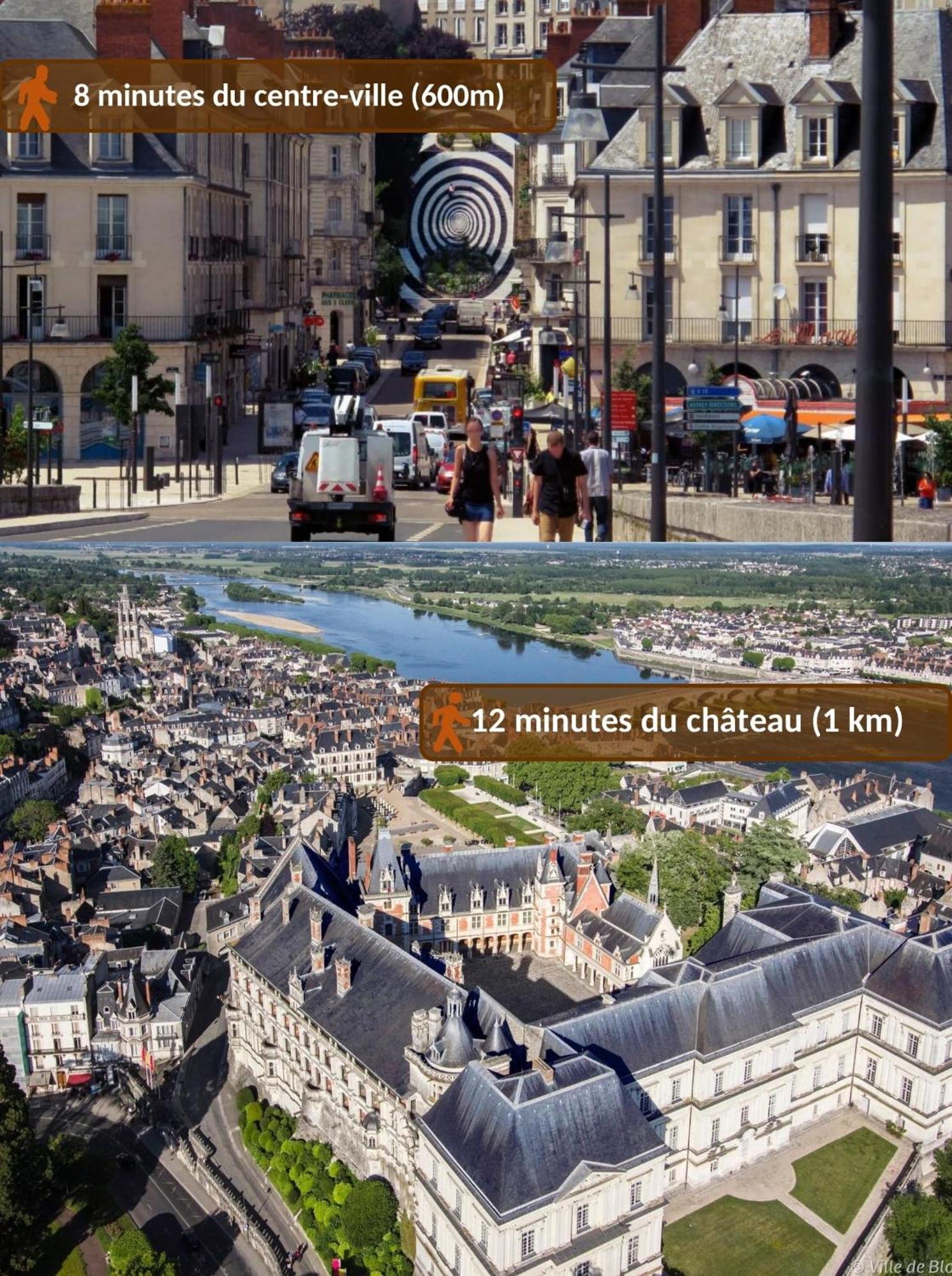 Maison Royale - Idealement Situee A Blois Exterior photo